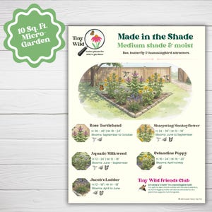 Skuggträdgårdsplan: Vildblommor i mellanvästern, kolibrier, 9 kvadratmeter