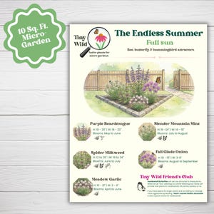 Full Sun Native Garden Plan: Midwest Wildflowers 10 Sq Ft Pollinator-Friendly