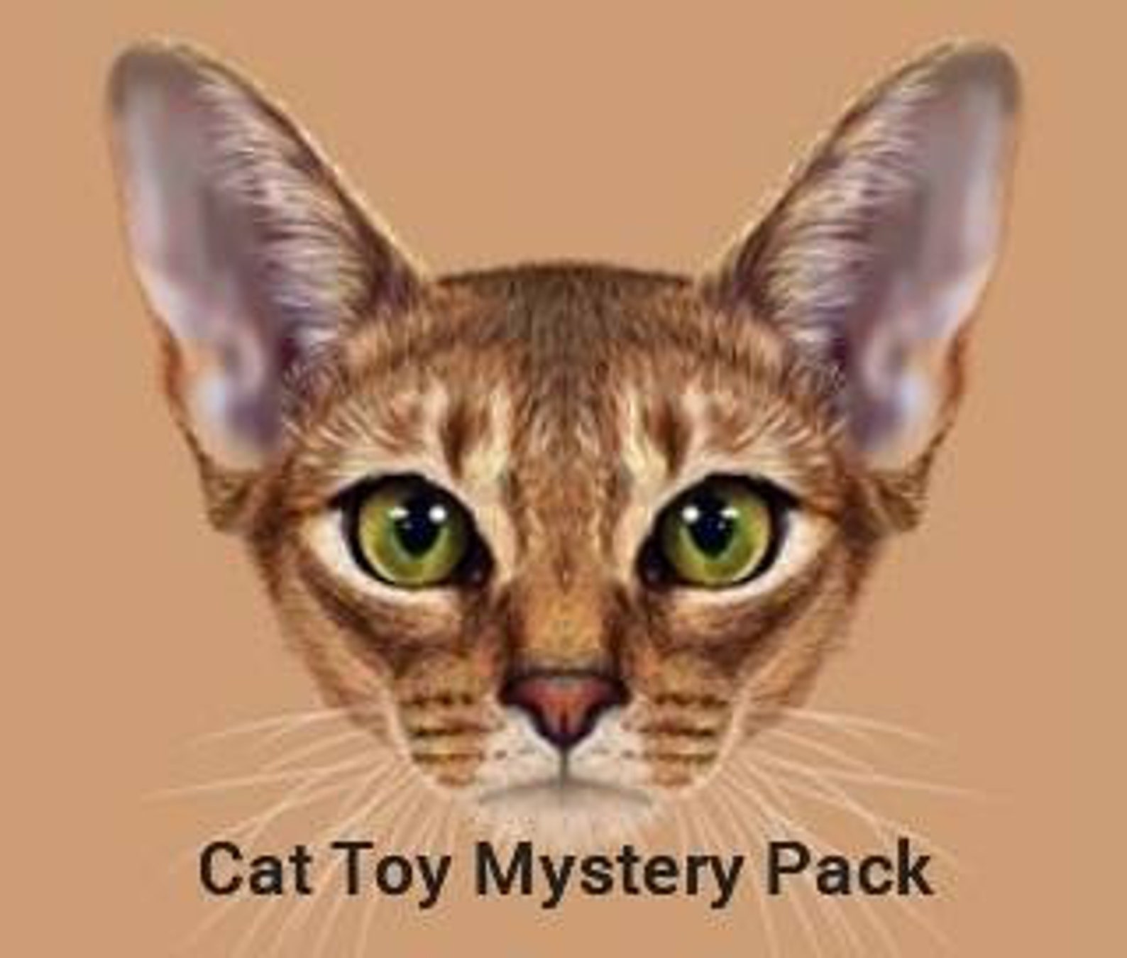 Unique Cat Toy Mystery Pack Cat Toys with catnip and bells Etsy