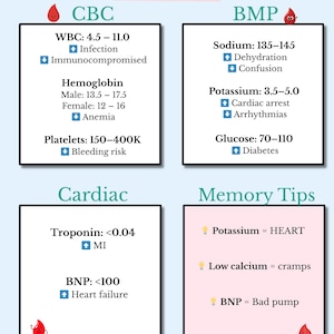 Nursing Study Bundle | NCLEX Cheat Sheets | Lab Values, ABG, Pharmacology | Nursing Student Printable | Instant Download