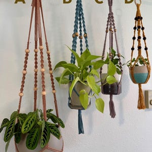 May include: Four macrame plant hangers in various colors, each with a different plant and pot. The hangers are suspended from a white wall. The hangers are brown, teal, purple, and yellow, with wooden beads and tassels.