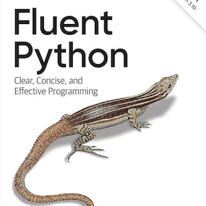Fluent Python: Clear, Concise, and Effective Programming 2nd Edition