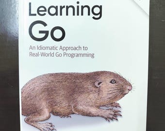 Learning Go: An Idiomatic Approach to Real-World Go Programming 2nd edition