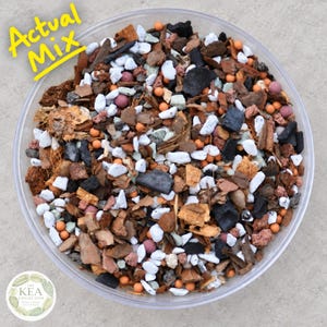 May include: A clear circular container filled with a potting soil mix containing brown wood bark, white perlite, black charcoal pieces, small orange clay balls, and reddish-brown porous volcanic rock. The text Actual Mix is in yellow.