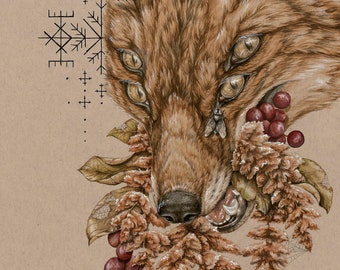 BAD HARVEST - 13 x 19in Autumn Fox fine art print