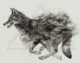 Coyote - 11 x 14 inch giclee print of original drawing