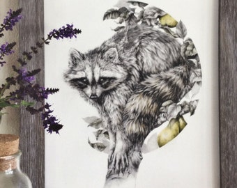 Raccoon Art Print- 11x14 woodland animal drawing - flora and fauna art - wall decor