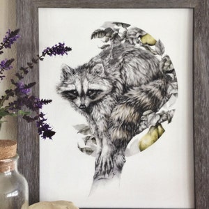 Raccoon Art Print- 11x14 woodland animal drawing - flora and fauna art - wall decor