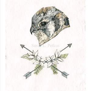 Aim True - 11 x 14 inch hawk with arrows small poster print, bird illustration