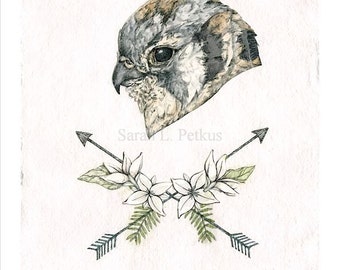 Aim True - 11 x 14 inch hawk with arrows small poster print, bird illustration