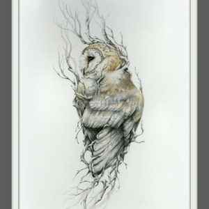 Barn owl 11 x 14 reproduction of original drawing image 2