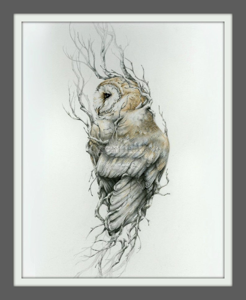 Barn owl 11 x 14 reproduction of original drawing image 2