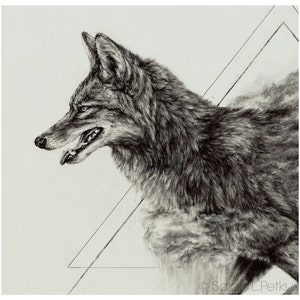 Coyote - Impression jet d&#39;encre 20 x 10 pouces du dessin original