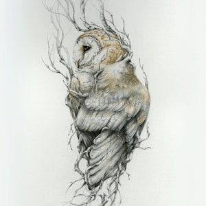 Barn owl -8 x 10 fine art print - witchy nature art - flora and fauna print