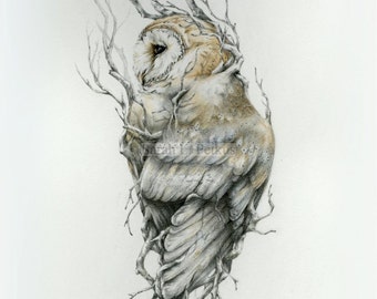 Barn owl -8 x 10 fine art print - witchy nature art - flora and fauna print