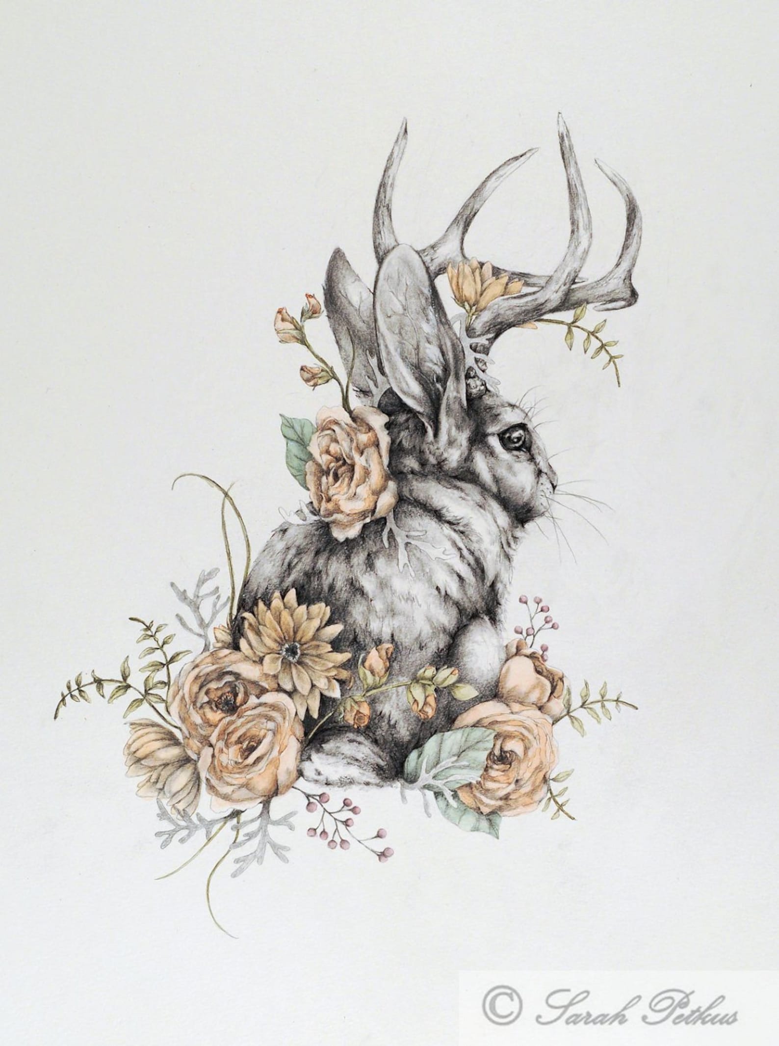 Заяц рисунок мистика