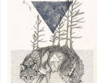 The Wolf Lupus - 11 x 14 art poster constellation print