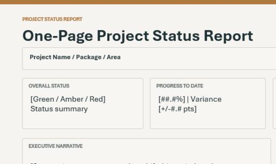 One Status View One Page Project Status Report Template - Etsy