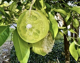 Jabón de lufa con aroma a tarta de lima / Jabón exfoliante cítrico / Jabón de lufa colgante / Jabón de lima artesanal / Jabón exfoliante natural / Regalo de spa