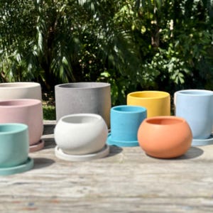 May include: A collection of colorful ceramic planters in various shapes and sizes. The planters are in shades of blue, pink, yellow, orange, green, and white. Each planter has a matching saucer. The background features lush greenery.