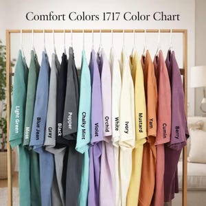 Comfort Colors Foxy Dad Shirt, Nick Wilde Shirt, Disneyland Zootopia 2 Tee, Walt Disneyworld Tee, Nick And Judy Shirt, Disneyland Dad Gift image 4