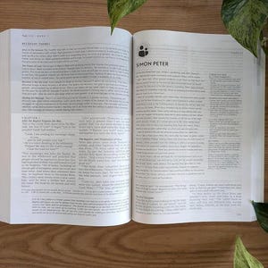 Biblia de Recuperación de Vida NLT Segunda Edición / Tapa dura con letra grande / Biblia de Recuperación de 12 Pasos para Sanidad y Sobriedad / Nueva Traducción Viviente