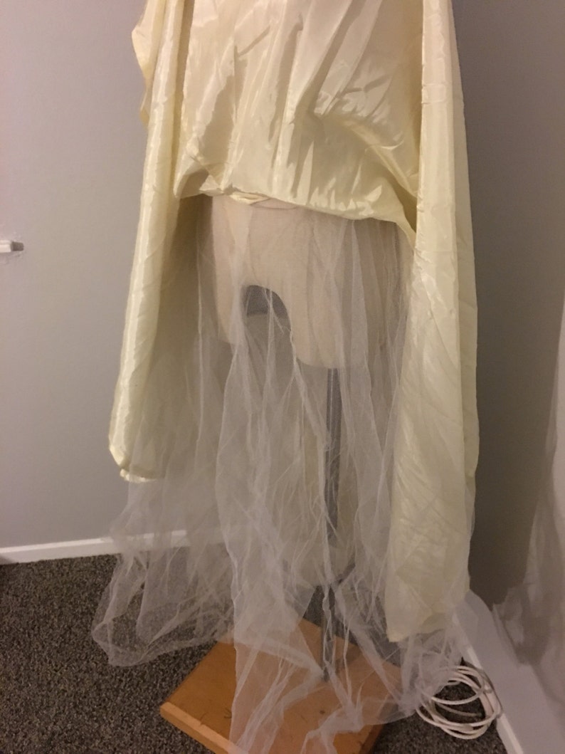 Vintage Crinoline #32