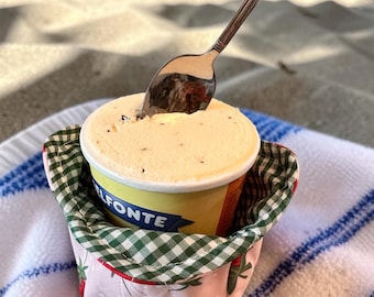 Fresas, helado de pinta, envase térmico de pinta, helado Ninja Creami, aislado