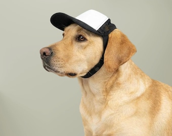 custom dog hat dog costume cute dog toys Foam Trucker Hat for pets Dog Theme clothing