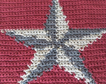 Star Wash Cloth Crochet Pattern