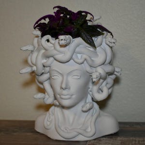 Könnte beinhalten: Ein weißer Medusa-Kopf-Pflanztopf mit Schlangen als Haare, der eine kleine Pflanze mit dunkelvioletten Blättern hält. Der Pflanztopf besteht aus Keramik oder einem ähnlichen Material und ist eine Büste eines Frauengesichts.