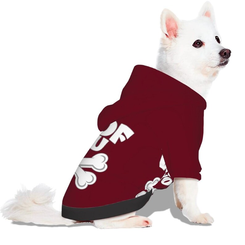 Dog Hoodie – “WOOF YOU” | Matching Human Hoodie Available image 8