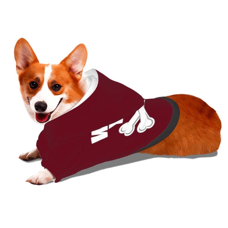 Dog Hoodie – “WOOF YOU” | Matching Human Hoodie Available image 15