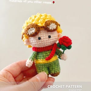 Può includere: Bambola all'uncinetto di un personaggio de "Il Piccolo Principe" con una rosa rossa. La bambola ha capelli gialli, occhiali marroni e indossa un completo verde con una sciarpa rossa. Il testo dice: "Lei è più importante di tutte le centinaia delle vostre altre rose."