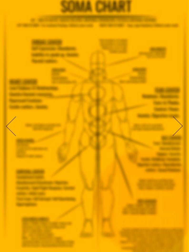 Somatic Dysfunction Chart Note Somatic Inquiry Guide Wall Chart - Accessible Version - Etsy