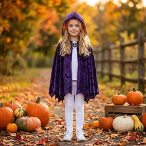 May include: A deep purple hooded cape featuring a black spiderweb and bat pattern, worn over a white long-sleeve shirt and white leggings. The cape has a scalloped hem and a decorative spider brooch at the neckline, creating a dark, festive look.