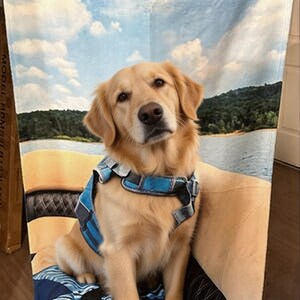 Benutzerdefinierte Haustier Gesicht Strandtuch Personalisiertes Hunde Foto Strandtuch für Welpen Besitzer Lustiges Katzen Bild Strandtuch Haustier Erinnerungsgeschenk
