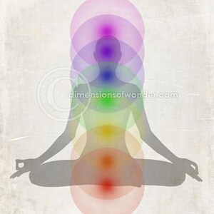 Op de afbeelding: Een silhouet van een persoon die in meditatieve houding zit met zeven kleurrijke chakra's, of energiepunten, die worden weergegeven door overlappende cirkels. De chakra's zijn violet, indigo, blauw, groen, geel, oranje en rood.