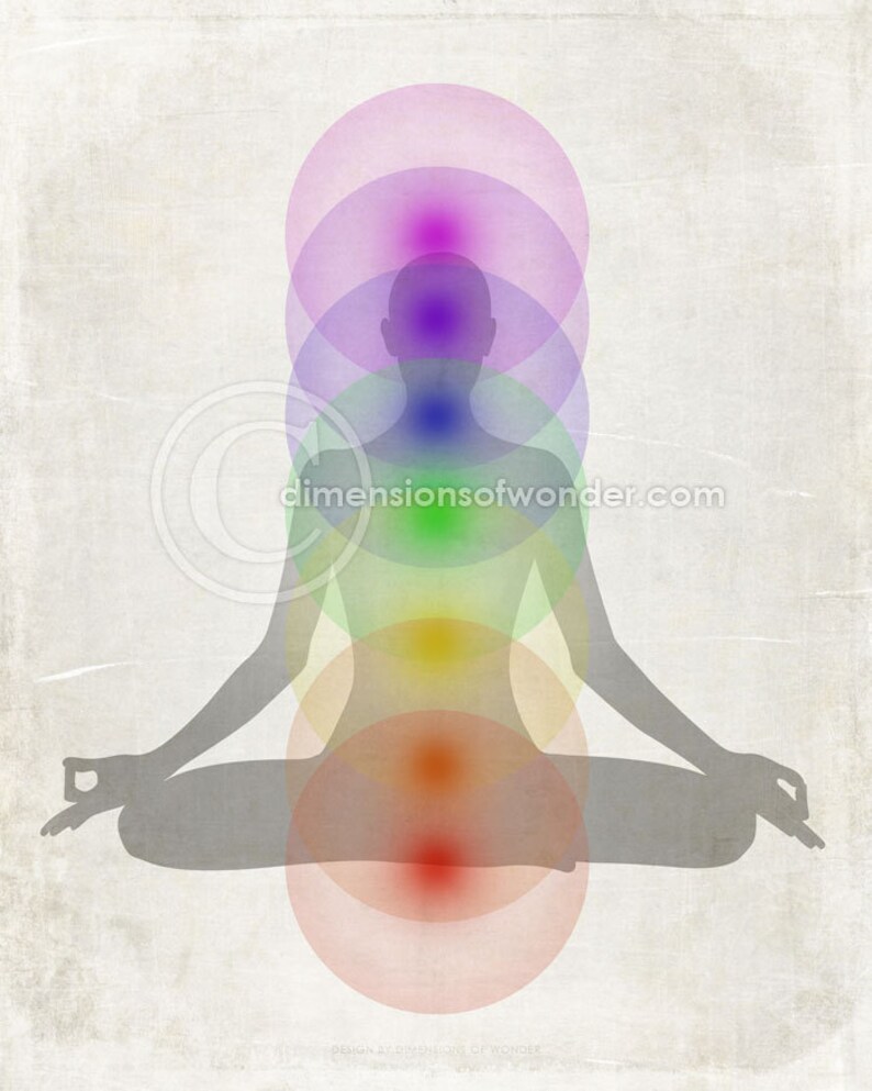 Op de afbeelding: Een silhouet van een persoon die in meditatieve houding zit met zeven kleurrijke chakra's, of energiepunten, die worden weergegeven door overlappende cirkels. De chakra's zijn violet, indigo, blauw, groen, geel, oranje en rood.