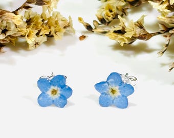 Orecchini con vero non ti scordar di me, gioielli con fiori in resina, regalo commemorativo