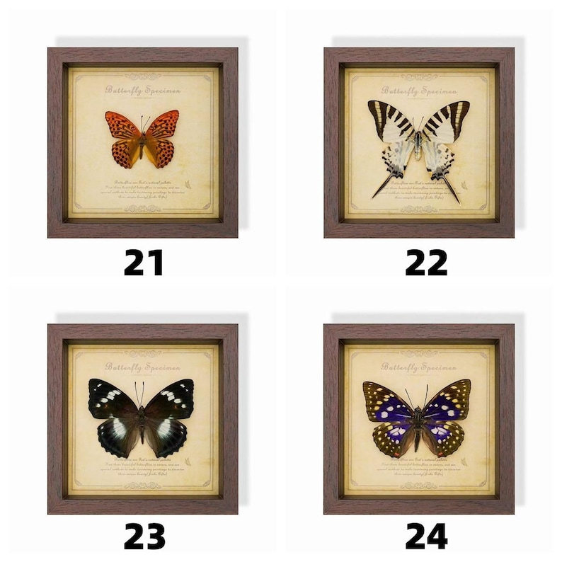 May include: Four framed butterfly specimen prints. Each print features a different butterfly with detailed wing patterns, set against a vintage-style background. The frames are dark brown, and each print is labeled with a number.