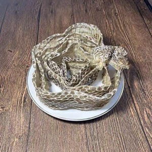 May include: A coiled snakeskin, in shades of tan and brown, is presented on a white plate with a silver edge. The snakeskin is arranged in a circular pattern, revealing its scale texture. The background is a wooden surface.