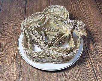 Snake skin molts, with a length of approximately 78 inches