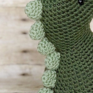 May include: Green crocheted dinosaur toy with a light green spiky back and a black eye.