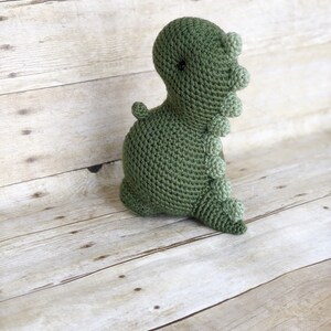 May include: A green crocheted dinosaur toy with a textured surface and a small black eye. The dinosaur has a long tail with a row of green bumps.