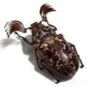 Puede incluir: Un juego de tres tazas de cerámica con un acabado moteado y mate. Las tazas son en tonos crema, gris claro y gris oscuro. Cada taza tiene un diseño simple y minimalista, ideal para café o té.