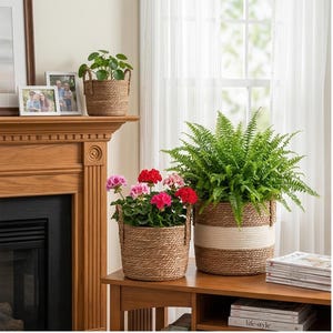 May include: A white ceramic mug with a black handle and the text "But First, Coffee" in a bold, black font. The mug is set against a neutral background, highlighting its simple design.