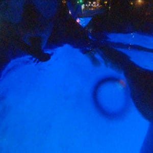 May include: A swimming pool illuminated with vibrant blue light at night. The water surface shows ripples and reflections, with dark silhouettes of surrounding structures visible. A small, circular light artifact appears in the center right area.
