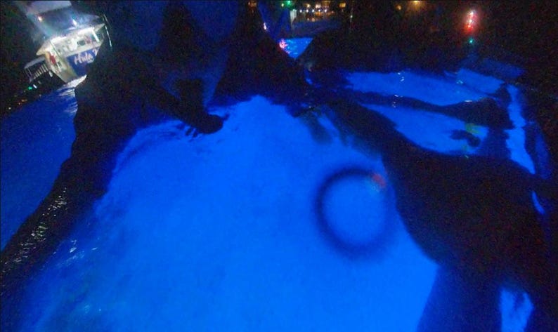 May include: A swimming pool illuminated with vibrant blue light at night. The water surface shows ripples and reflections, with dark silhouettes of surrounding structures visible. A small, circular light artifact appears in the center right area.