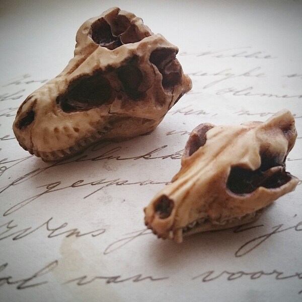 Antiqued Aged Wolf T-rex Dinosaur Skull Cameo Cabs Resin Cabochon Taxidermy Animal Steampunk Gothic Goth Skull Aged Ivory 1 PIECE